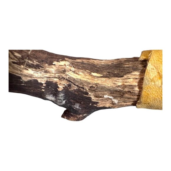 Vintage Native American Signed Handcrafted Driftwood & Turtle Shell Rattle - Picture 7 of 8